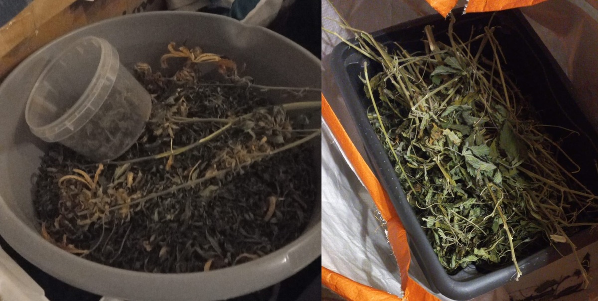 plastikowe pojemniki z suszem roślinnym