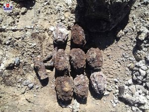 Osiem granatów leżących na ziemi.