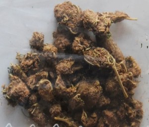 zabezpieczone narkotyki