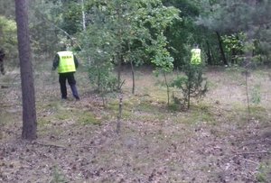 policjanci przeszukujący las