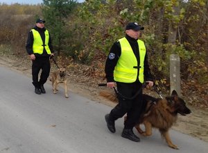policjanci z psami tropiącymi