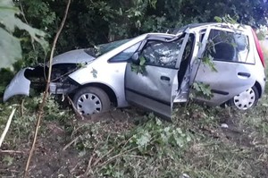 uszkodzony samochód marki Mitsubishi, w tle przydrożne drzewa