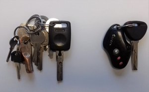 kilkanaście spiętych ze sobą kluczy, w tym kluczyk samochodowy oraz kluczyk samochodowy z piloetm