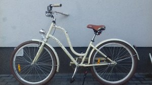 stojący przy ścianie rower marki Rayon Vivida