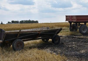 stojący na polu i pogorzelisku wóz konny, obok przyczepa