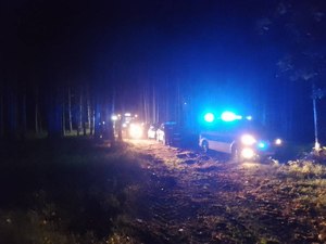 stojące w lesie samochody z włączonymi światłami uprzywilejowania