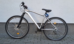 szary rower marki Core