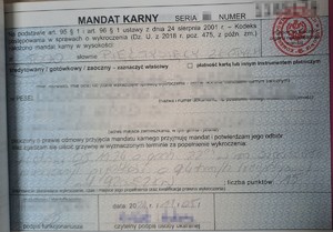 mandat karny