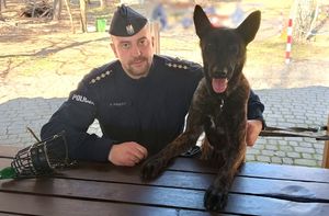 siedzący przy stole policjant i pies służbowy