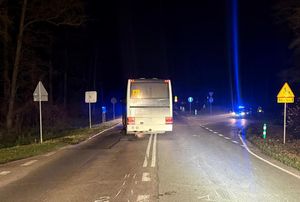 Autobus na miejscu wypadku drogowego w Stoczku Łukowskim